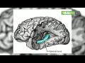 PassionMagz.com - 4 Tips Mudah Meningkatkan Daya Ingat Otak Anda https://www.youtube.com/watch?v=6ngIrmJbw_g