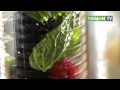 PassionMagz.com - Minuman sehat bagi tubuh https://www.youtube.com/watch?v=ZZ8bRC2aQx4