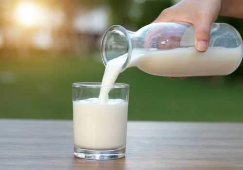 Manfaat Susu Sapi Murni untuk Paru-Paru